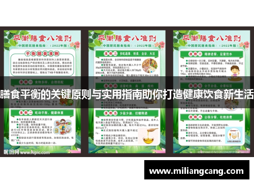 膳食平衡的关键原则与实用指南助你打造健康饮食新生活