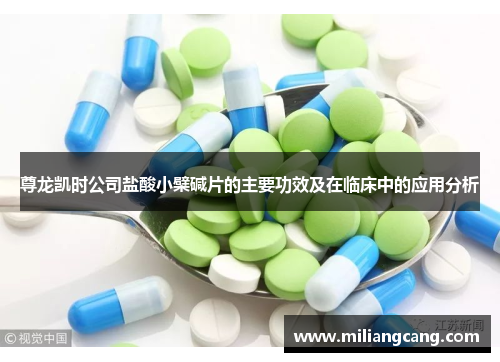 尊龙凯时公司盐酸小檗碱片的主要功效及在临床中的应用分析