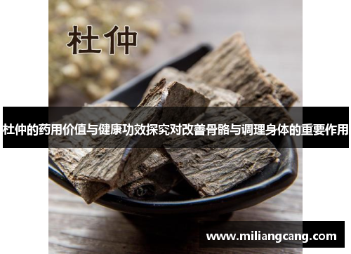 杜仲的药用价值与健康功效探究对改善骨骼与调理身体的重要作用