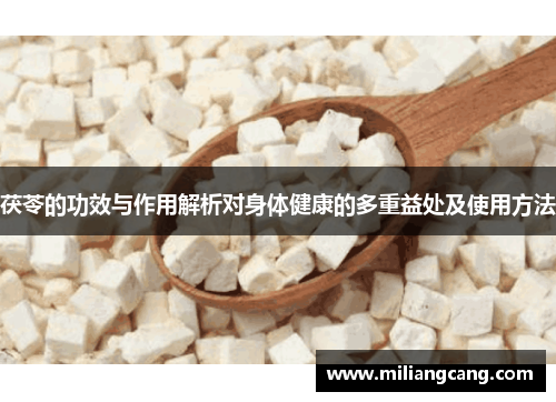 茯苓的功效与作用解析对身体健康的多重益处及使用方法
